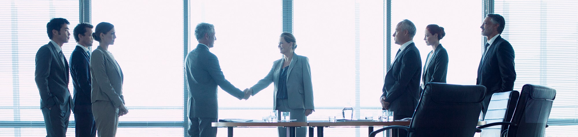 Directors and Officers Liability Insurance